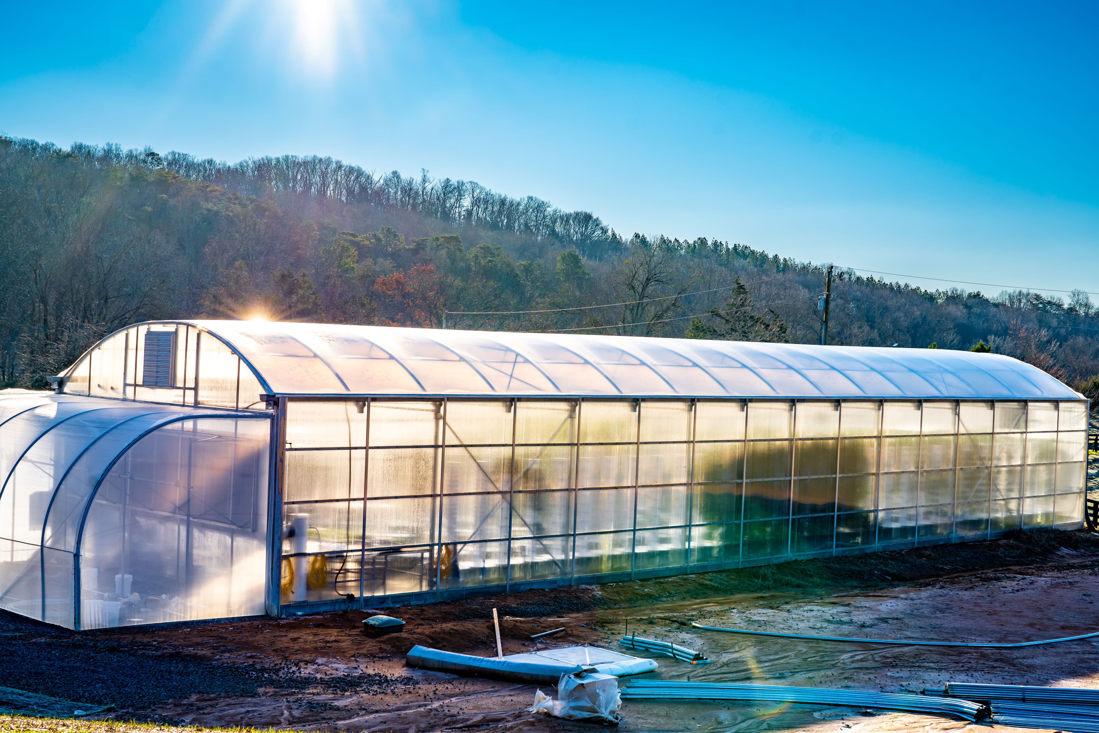 Greenhouse Farming – Tower Farms