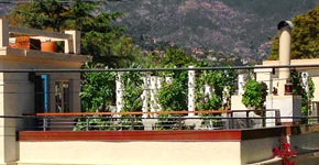 Rooftop Farming – Tower Farms